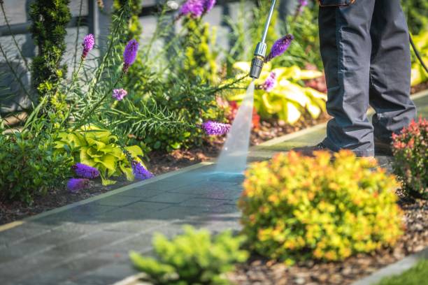 Reliable Jeffersonville, OH Pressure Washing Services Solutions